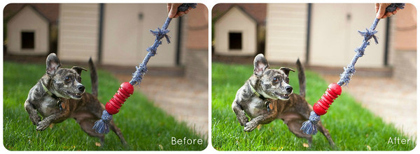Fixing Exposure in Lightroom: Before & After Fixing Exposure in Lightroom: Before & After