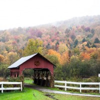 Canon 50mm 1.8 Review (& why I use this lens most) Fall foliage in New England (Photo: Kim Olson)